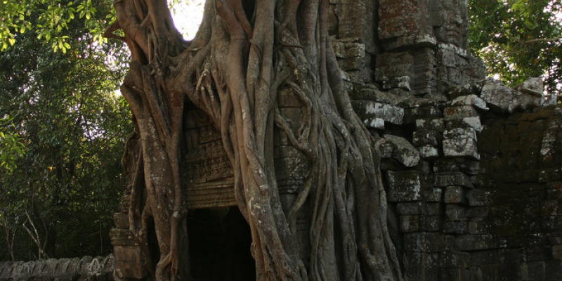 Wonderful 3 Days in Siem Reap, Angkor Wat,Khmer Angkor Tour Guide Association (KATGA)