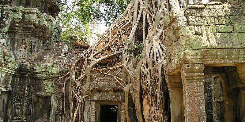 Beautiful 5 Days in Siem Reap, Angkor Wat,Khmer Angkor Tour Guide Association (KATGA)