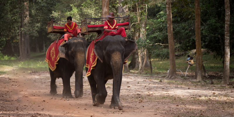 Beautiful 5 Days in Siem Reap, Angkor Wat,Khmer Angkor Tour Guide Association (KATGA)