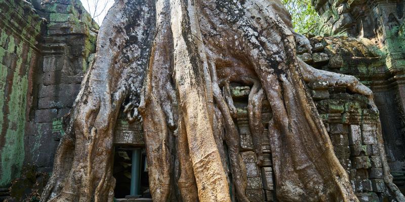 Special 1 Day in Siem Reap, Angkor Wat,Khmer Angkor Tour Guide Association (KATGA)
